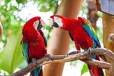 玩家入手RTX 3080二手矿卡：2GB显存不翼而飞